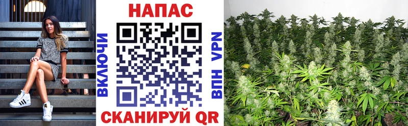 hydra маркетплейс  Кызыл  Бошки марихуана конопля 